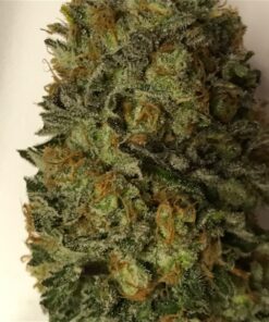 Weed Strain Australia